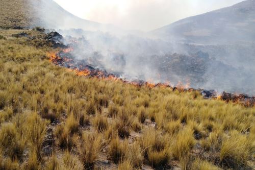Incendio forestal se extendió hacia los distritos aledaños de Chachas, Chilcaymarca y Orcopampa, provincia arequipeña de Castilla.