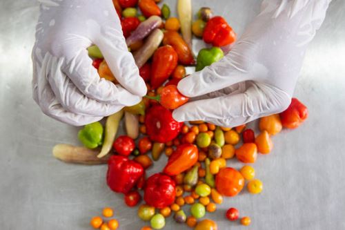 Gracias al reconocimiento de la gastronomía peruana, la oferta agroexportadora de ajíes y pimientos (Capsicum) se ha diversificado.