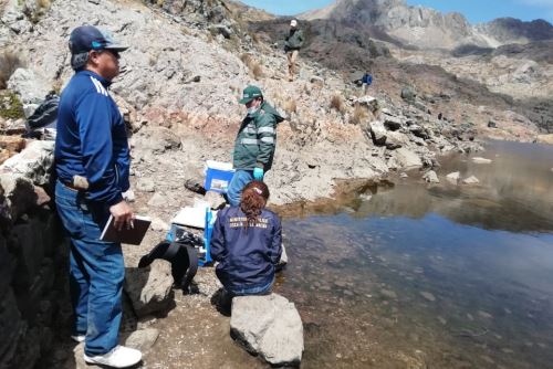 La Fiscalía Especializada en Materia Ambiental del Santa inició la investigación preliminar por la presunta contaminación minera de las lagunas Patara Grande y Patara Chica (Áncash).