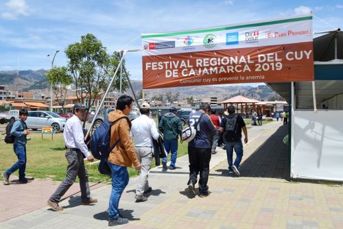 Productores de la Red de Productores de Cuy de Condebamba Alto participaron en el Festival Regional del Cuy de Cajamarca 2019.