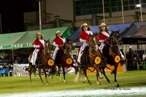 El caballo peruano de paso derrochará elegancia y finura en el primer concurso que se efectuará en el Valle Sagrado.