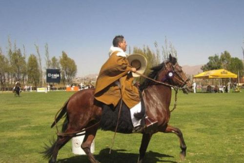 En el concurso de caballo peruano de paso participarán 180 ejemplares de los mejores criadores de Lima, Ica, Puno, Cusco, Tacna, Moquegua y Arequipa.