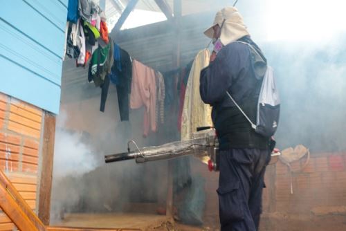Más de 16,000 viviendas de Puerto Maldonado, región Madre de Dios, han sido fumigadas para erradicar el brote de dengue.