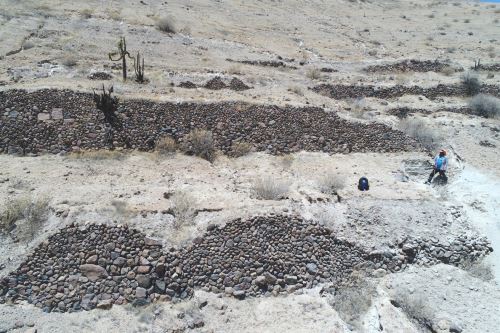 Estos andenes corresponden al pueblo inca de Estagagache, que, posiblemente, albergue los restos arqueológicos más importantes de la región Moquegua.