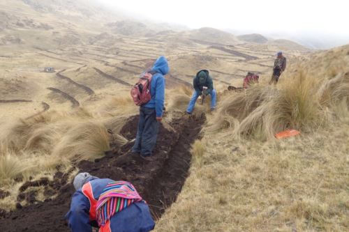 Agro Rural promueve la instalación de zanjas de infiltración, diques, plantaciones forestales y manejo de praderas.