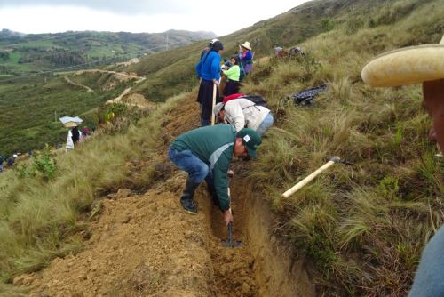 Agro Rural efectúa la apertura y habilitación de zanjas de infiltración, logrando para este año 78,600 metros lineales en las cuencas altas de 15 regiones.