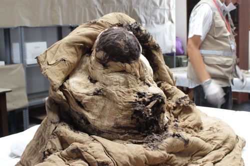 El fardo funerario del entierro 14 fue hallado en 2018 durante las investigaciones en Huaca Las Abejas del Complejo Arqueológico de Túcume.