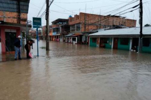 Las precipitaciones pluviales que se registran en la provincia de Moyobamba ocasionaron aniegos.