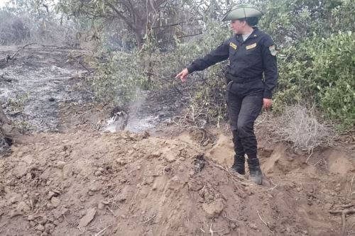 Un incendio forestal se registró en la jurisdicción de Palería, dentro del Santuario Histórico Bosque de Pómac.