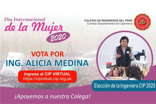 La investigadora cajamarquina Alicia Medina Hoyos ganó el concurso Ingeniera 2020, organizado por el Colegio de Ingenieros del Perú.