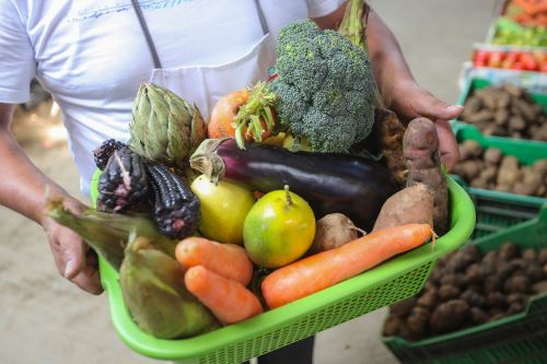 Alimentos