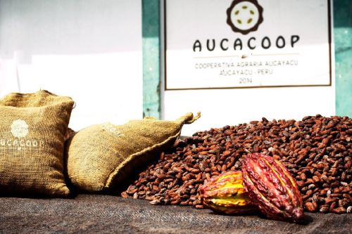 Treinta organizaciones dedicadas a la producción, procesamiento y transformación del cacao participarán en el XI Salón de Caco y Chocolate 2020.