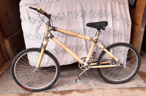 Conoce la ingeniosa bicicleta de bambú que atrae el interés de compradores extranjeros | Noticias | Agencia Peruana de Noticias Andina