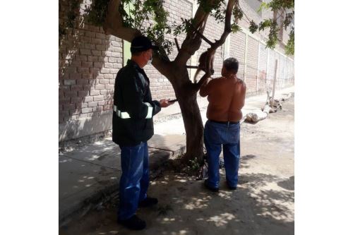 Mono machín estaba encadenado a un árbol en plena vía pública en el distrito de Castilla.