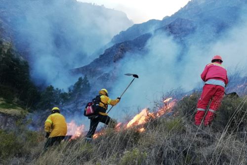 Bomberos, miembros del Ejército del Perú y comuneros trabajaron para controlar el incendio forestal.