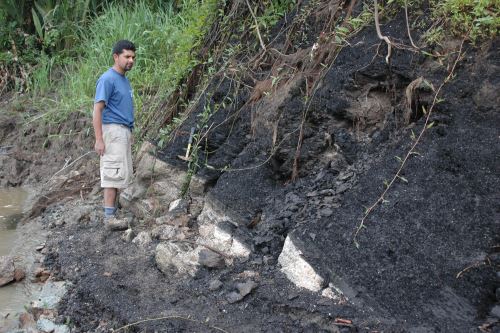 Depósitos de lignito con huesos, entre ellos la tibia mordida de perezoso, en el río Napo.