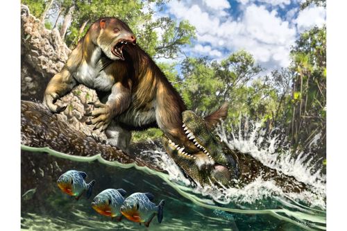 Perezoso terrestre que se encontraba en los pantanos proto-amazónicos fue mordido por caimán gigante 'Purussaurus'.
