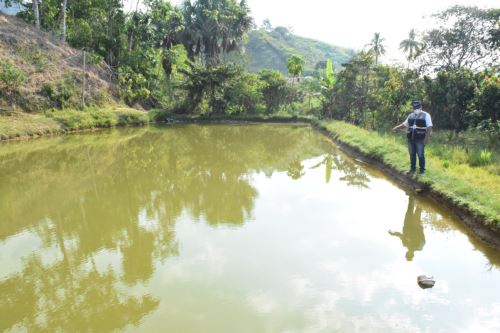 Los estanques piscícolas del Monzón cuentan con más de 65,000 metros cuadrados de espejos de agua.