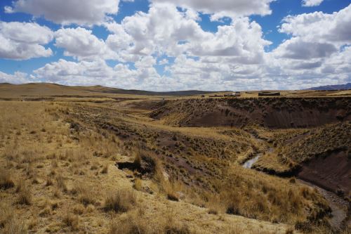 La puna está cubierta por extensos pastizales y algunos arbustos; la gran elevación (4,000 metros), el frío, el viento y las condiciones mayormente secas a largo del año no permiten el crecimiento de árboles.