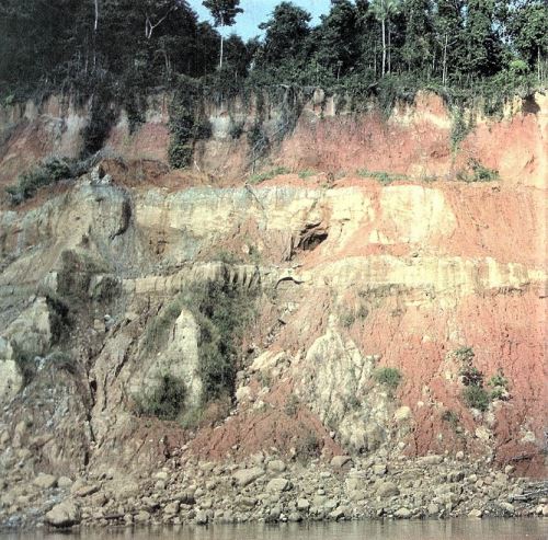 El fósil fue descubierto en la orilla del río Madre de Dios, en la  provincia de Tambopata, región de Madre de Dios.