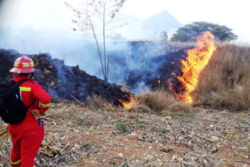 Este fin de semana se reportó una víctima mortal en la provincia de Cajabamba por un incendio forestal.