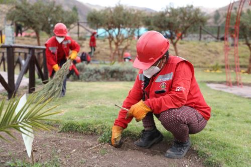 Mujeres que han sido víctimas de violencia participan activamente en el programa Trabaja Perú.