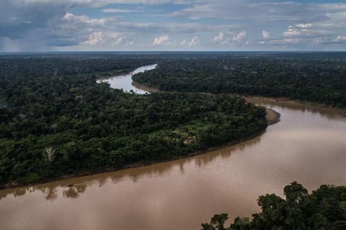 La reserva nacional Tambopata (Madre de Dios) tiene 274,690 hectáreas.