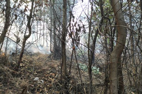 Pastos naturales y plantaciones de eucalipto fueron arrasados por incendios forestales en Yungay y Pallasca, región Áncash.