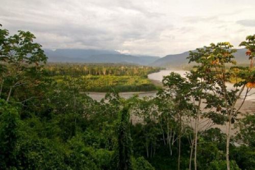 Programa Bosques fortalece sus acciones de conservación de ecosistemas en San Martín