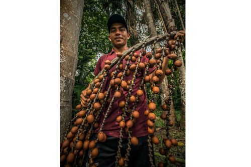 El Sernanp cautela la diversidad biológica y los servicios ecosistémicos que se generan en más del 19 % del territorio peruano.