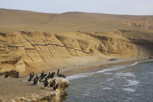 La reserva marino-costera de Paracas cuenta con acantilados, playas y zonas desérticas.