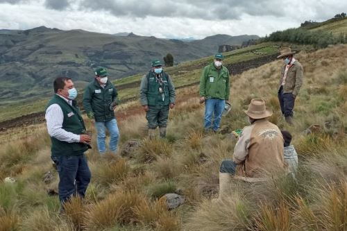 El nuevo Agro Rural brinda asistencia técnica a los beneficiarios para el cuidado y buen manejo forestal.