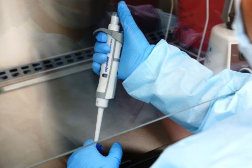 El laboratorio molecular de Cajamarca procesa a diario de entre 300 a 350 pruebas.