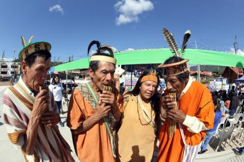 En el concurso Canto al Bicentenario: El Perú que Imaginamos pueden participar todos los usuarios del programa Pensión 65.