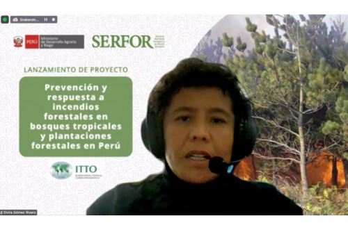 En evento virtual se lanzó el proyecto 'Prevención y respuesta a incendios forestales en bosques tropicales y plantaciones forestales en el Perú'.