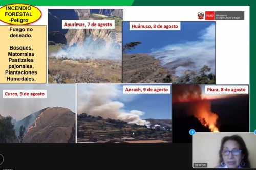Las capacitaciones virtuales sobre gestión del riesgo ante incendios forestales se llevan a cabo mediante módulos.