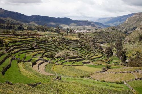 El valle de Sondondo está ubicado en la provincia de Lucanas, en el sur de la región Ayacucho.