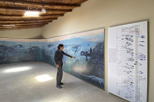 Sala de exhibición de vertebrados del Museo de Sitio Sacaco.