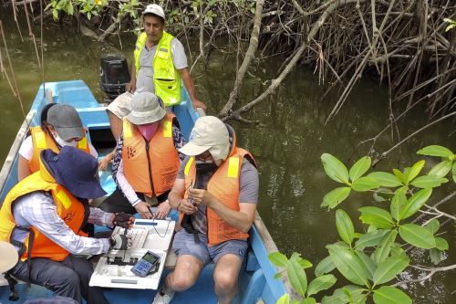 En el santuario nacional Los Manglares de Tumbes, los estudiantes hacen la medición de parámetros físico-químicos.