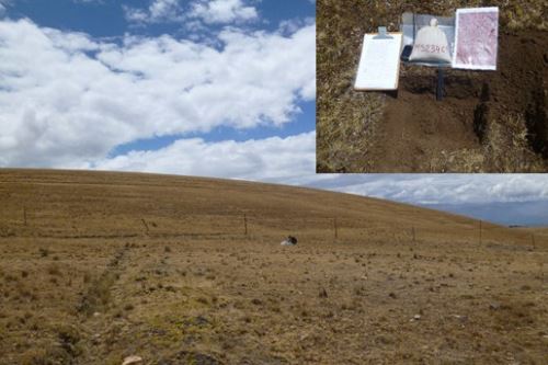 El estudio se puede encontrar en el boletín geológico 'Geoquímica multipropósito de suelos en la zona Jauja-Acostambo'.
