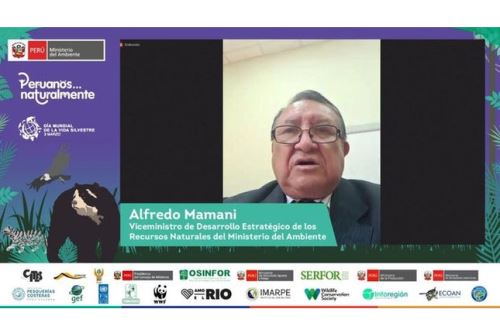 El viceministro Alfredo Mamani participó en el evento virtual 'Recuperación de especies clave para la restauración de ecosistemas'.