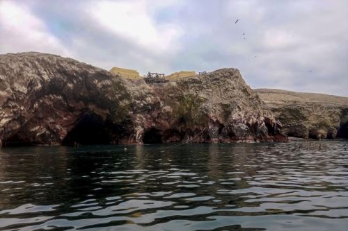 El guano de las islas, equivalentes a 3,190 sacos, fueron procesados y enviados directamente desde la isla Pescadores, en el departamento de Lima.