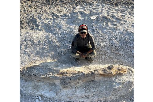 Paleontólogo peruano Aldo Benites-Palomino en desierto costero del Perú.