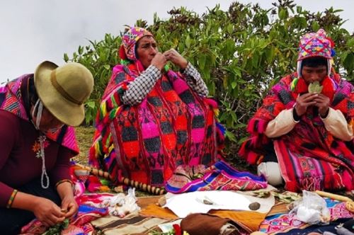 La hoja de coca, producto ancestral y parte de la cosmovisión andina, también e usado por los pobladores de la provincia de Paucartambo. Fuente: Andina