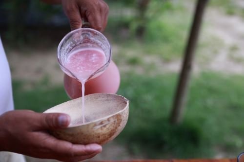 Manjares selváticos: conoce y disfruta de los platos y bebidas bandera ...