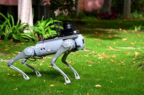 Los secretos de Tefi, el perro robot para invidentes