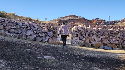 Puna resiliente: conoce el proyecto que busca proteger ecosistemas de ...