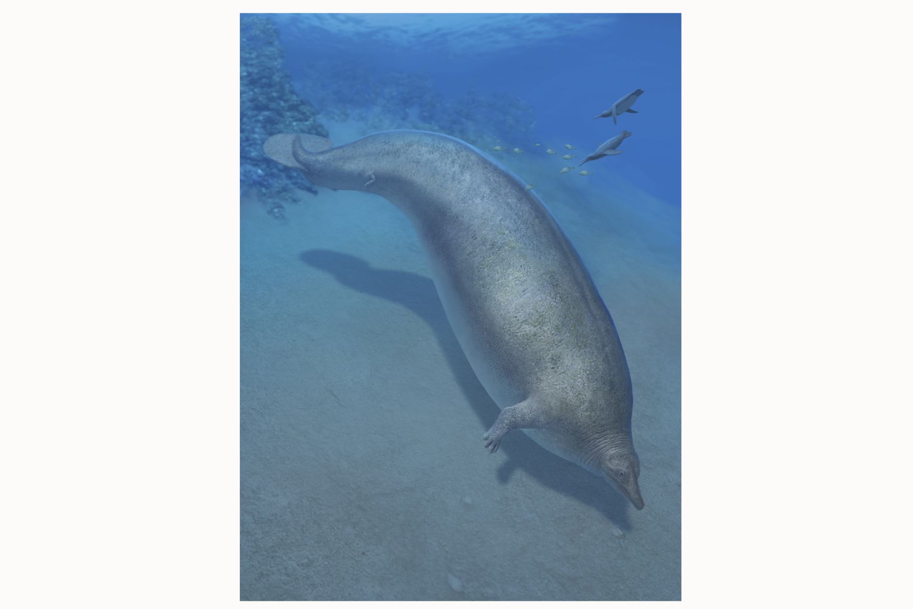 Reconstrucción del 'Perucetus colossus' en su hábitat costero, en la provincia de Ica.