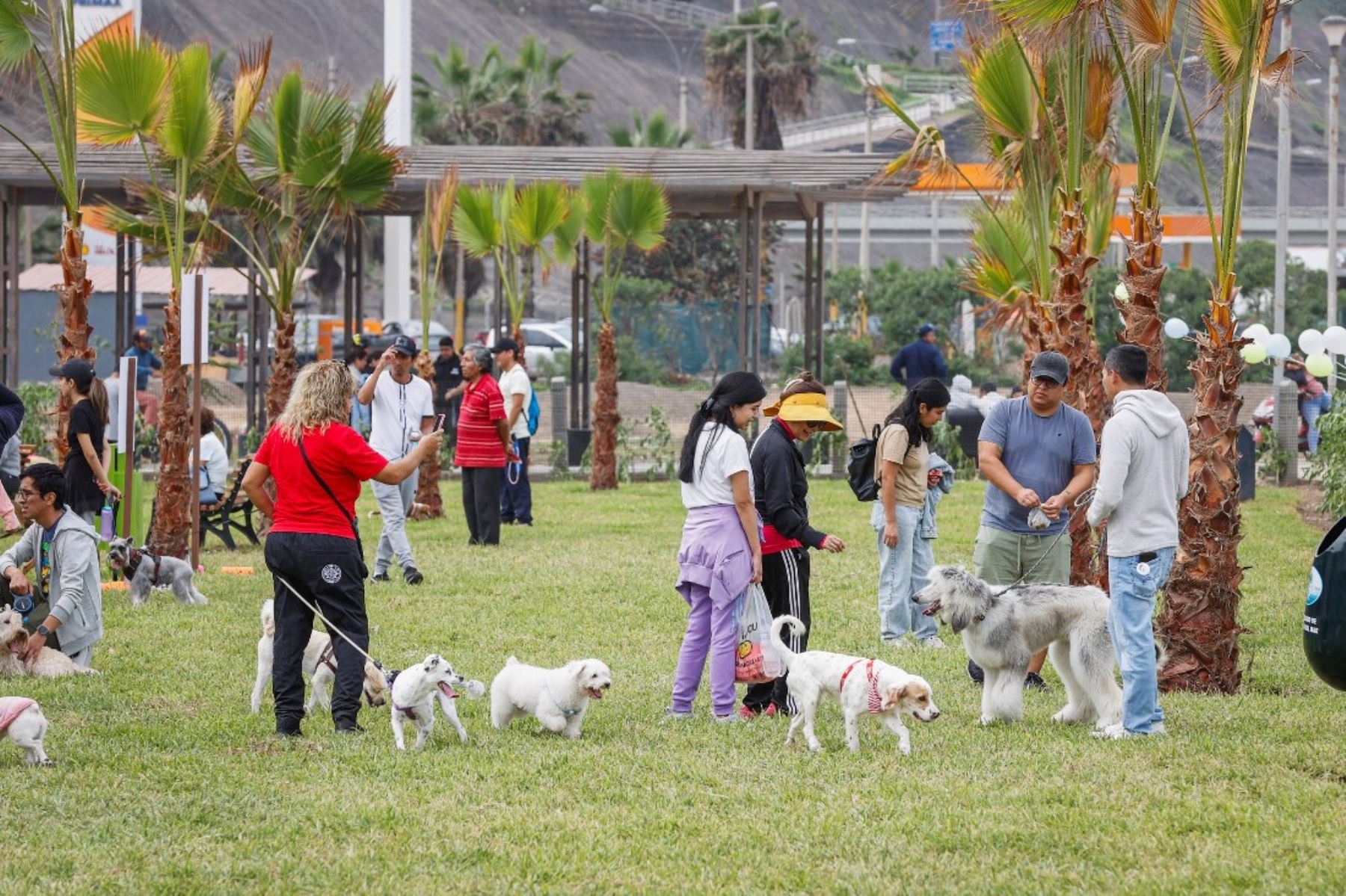 El recién inaugurado parque canino de Motril da servicio a medio millar de  perros