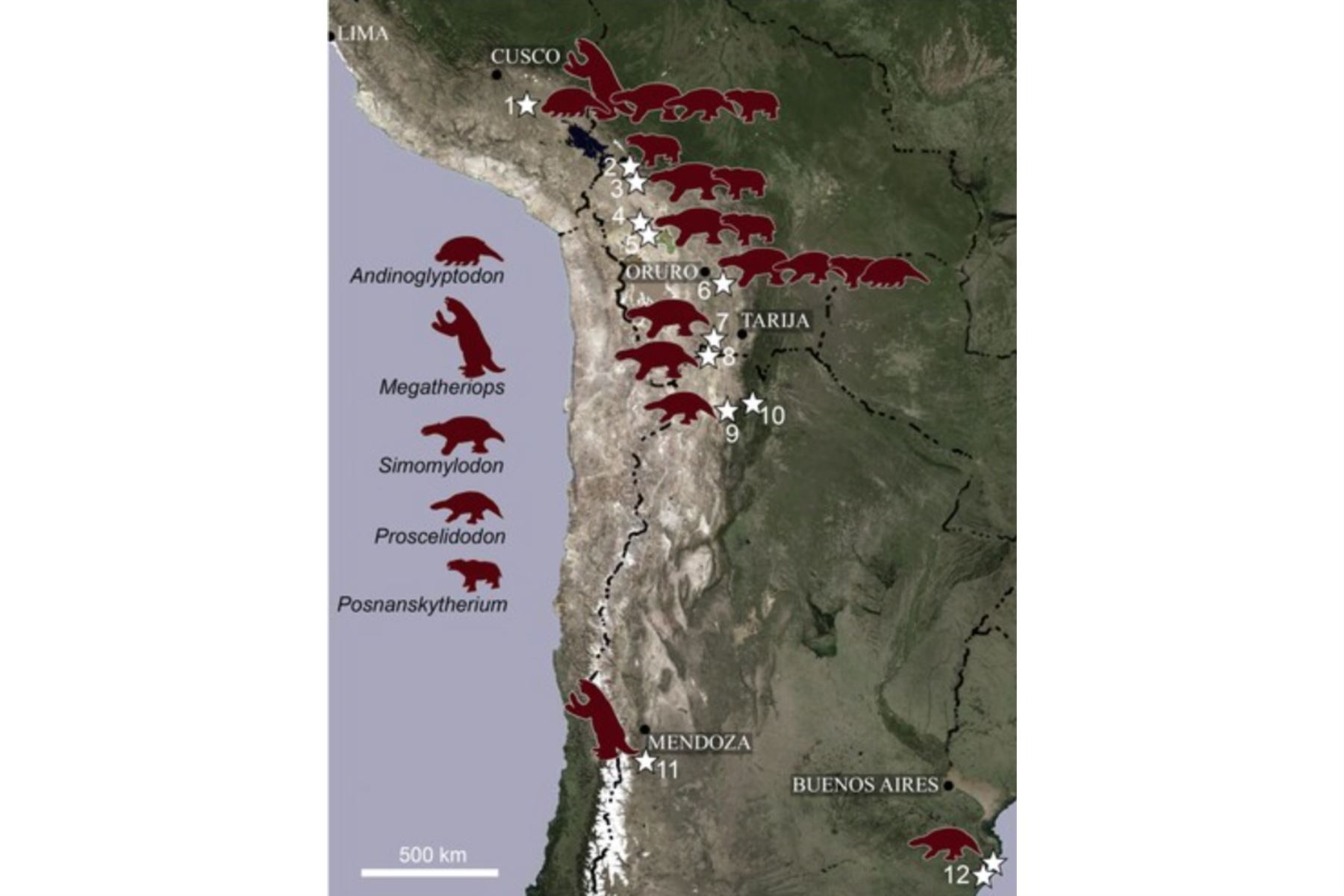 Mapa que muestra localidades (estrellas) seleccionadas del Mioceno Superior-Plioceno en el Perú, Bolivia y Argentina, donde se han documentado los géneros de mamíferos descubiertos en Espinar (siluetas), Perú: 1; Bolivia: 2, La Paz; 3, Ayo-Ayo; 4, Choquecota; 5, Pomata-Ayte; 6, Incasi; 7, Casira. Argentina: 8, Casira; 9, Maimará: 10, Uquía; 11, Huayquerías; 12, Mar del Plata. Fuente: Centro para la Ciencia y la Observación de los Recursos Terrestres (EROS) del Servicio Geológico de EE. UU.